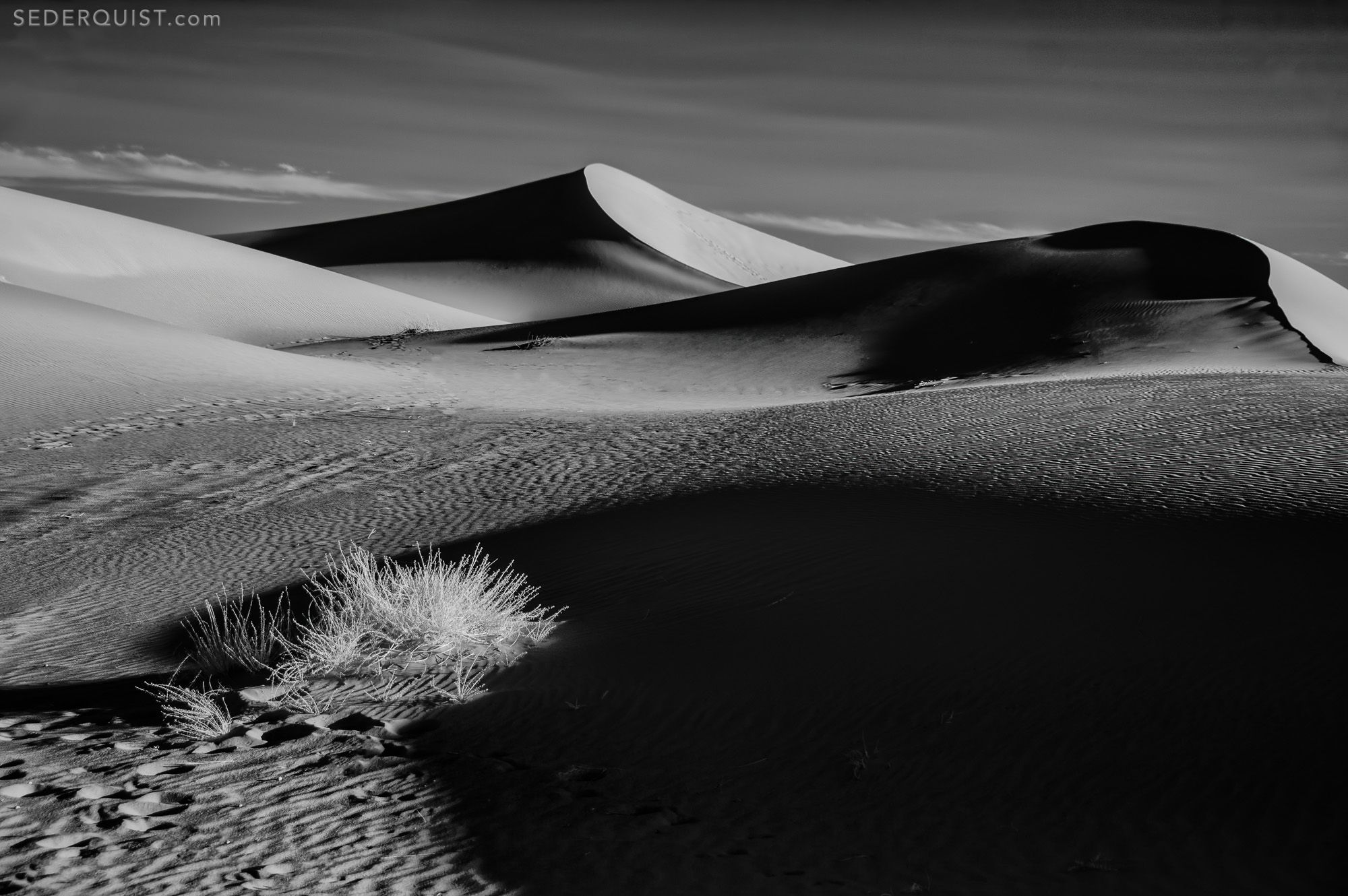 Infrared View of Sand Dunes, Sahara Desert - Betty Sederquist Photography
