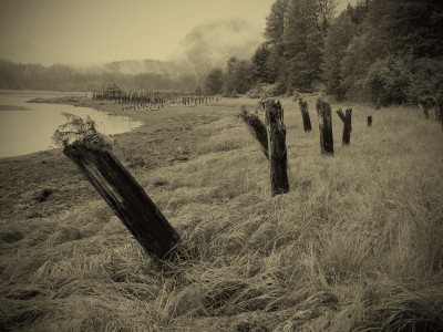 Taku Harbor Cannery Pilings, Alaska