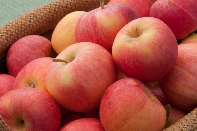 Apples in Apple Hill, California