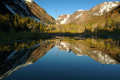 Beaver Pond, Lundy Lake Area