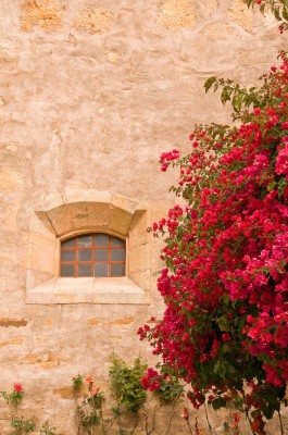Window at Carmel Mission