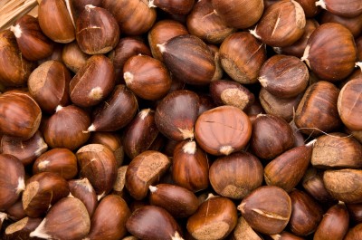 Chestnuts at a Historical Re-enactment, Coloma, California