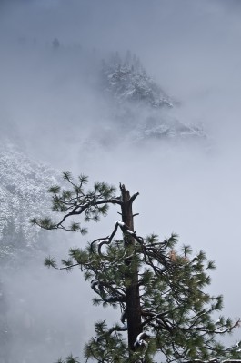 Clearing Storm, Tunnel View Area, Yosemite