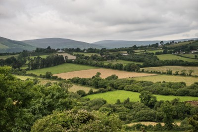 Irish Countryside Near Dublin
