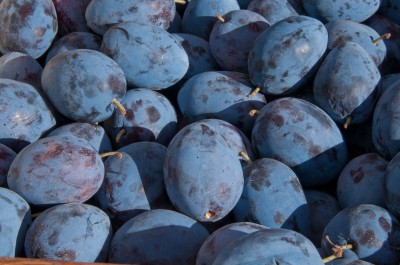 Plums