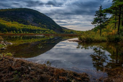 Pond Reflection, Desert Island, Maine