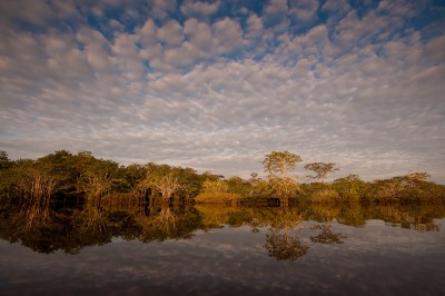 Cloud Reflections, Laguna Grande, Cuyabeno, Amazon