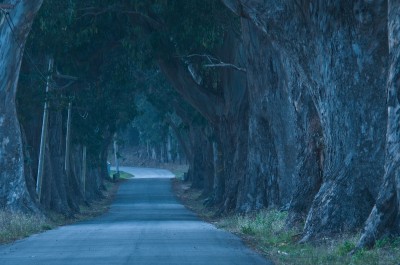Back Road near Pescadero at Night