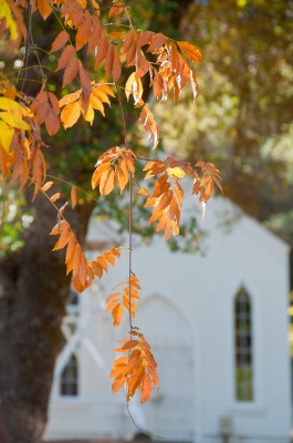 St. Johns Catholic Church in Fall, Coloma