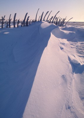 Whalebone Fence, Point Hope Graveyard, Alaska