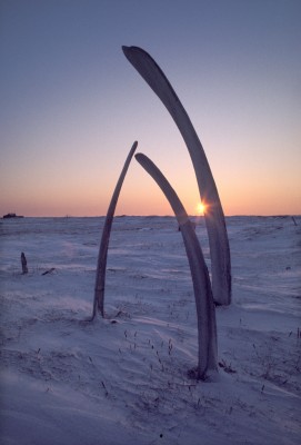 Whalebone Grave, Point Hope, Alaska
